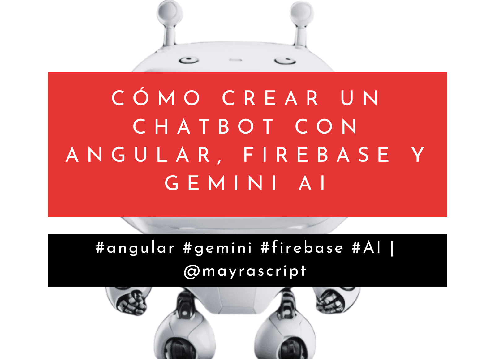 Budget for Tomorrowland 2023